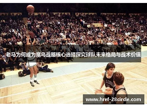 老马为何成为魔鸟战略核心选择探究球队未来格局与战术价值