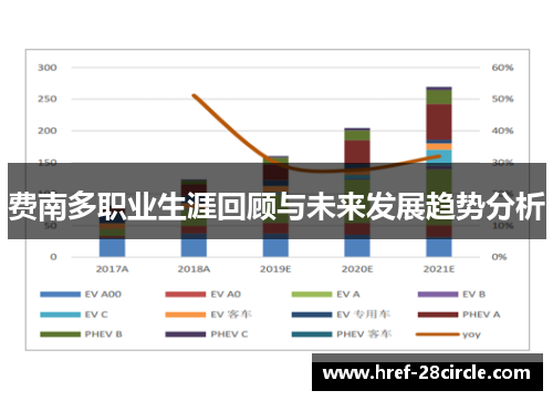 费南多职业生涯回顾与未来发展趋势分析