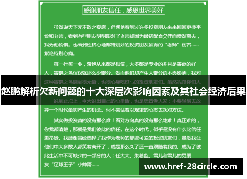 赵鹏解析欠薪问题的十大深层次影响因素及其社会经济后果