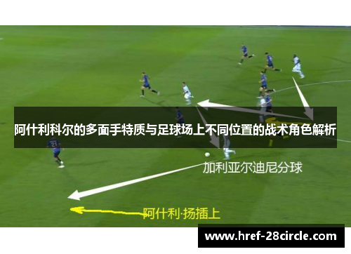 阿什利科尔的多面手特质与足球场上不同位置的战术角色解析