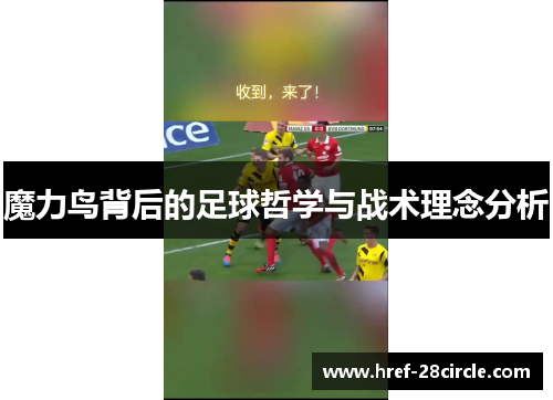 魔力鸟背后的足球哲学与战术理念分析