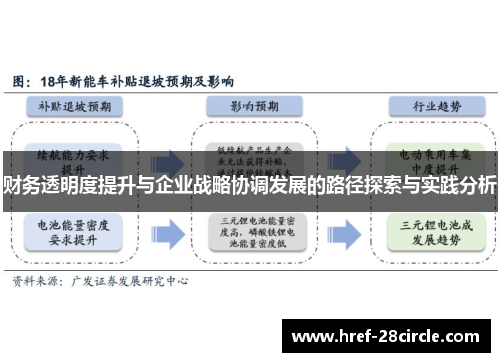 财务透明度提升与企业战略协调发展的路径探索与实践分析