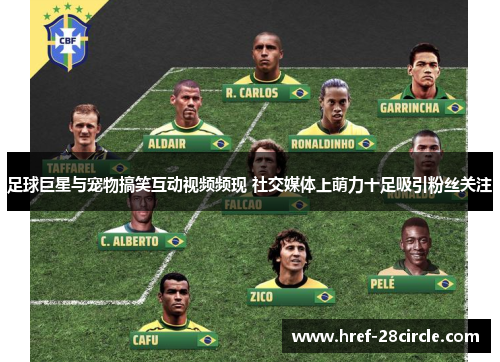 足球巨星与宠物搞笑互动视频频现 社交媒体上萌力十足吸引粉丝关注