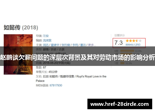 赵鹏谈欠薪问题的深层次背景及其对劳动市场的影响分析