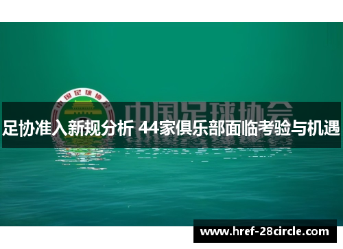 足协准入新规分析 44家俱乐部面临考验与机遇