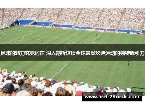 足球的魅力究竟何在 深入剖析这项全球最受欢迎运动的独特吸引力