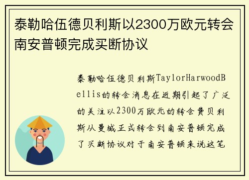 泰勒哈伍德贝利斯以2300万欧元转会南安普顿完成买断协议